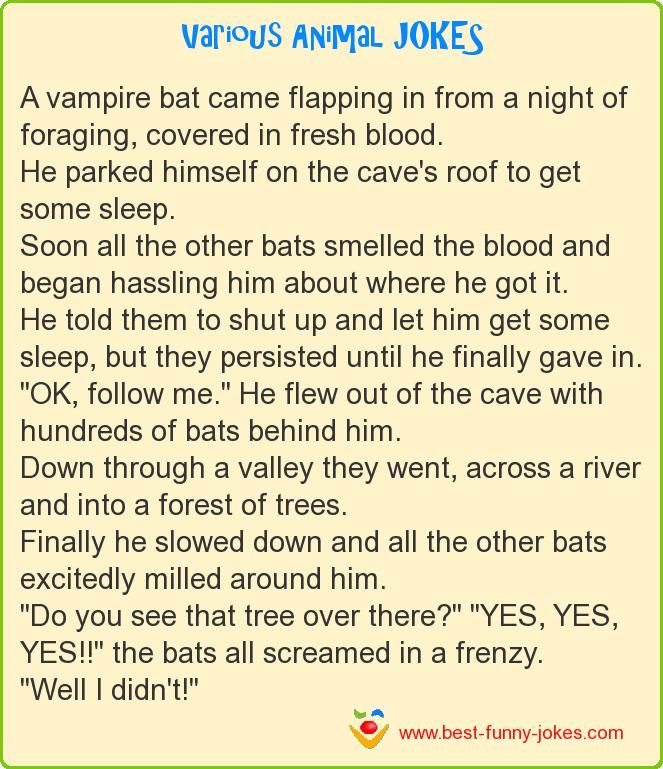 A vampire bat came flapping in
