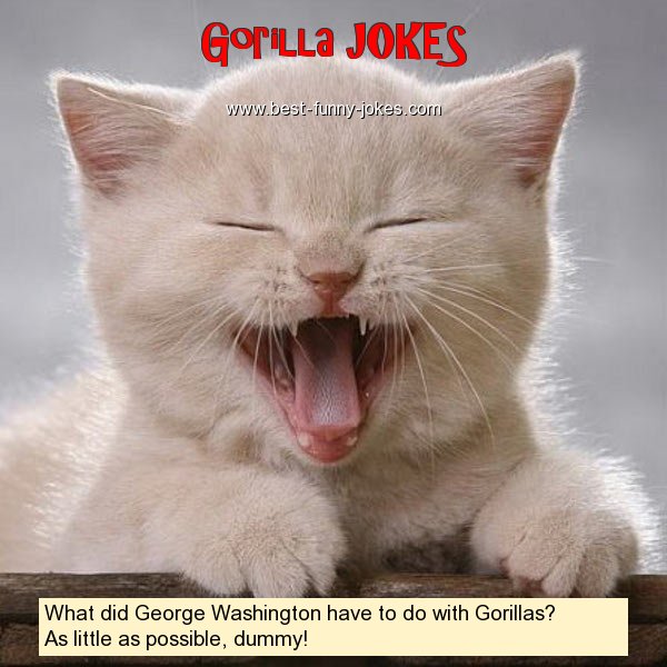 What did George Washington hav
