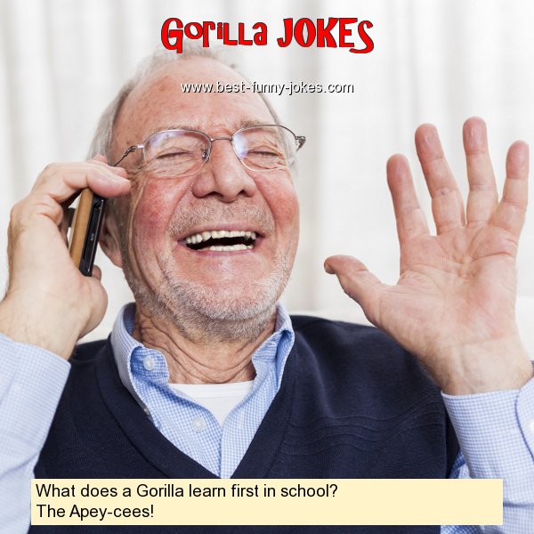 What does a Gorilla learn firs