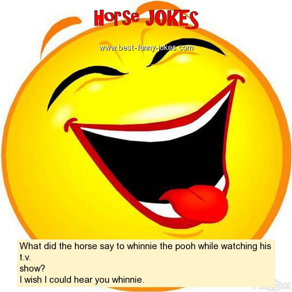 What did the horse say to wh