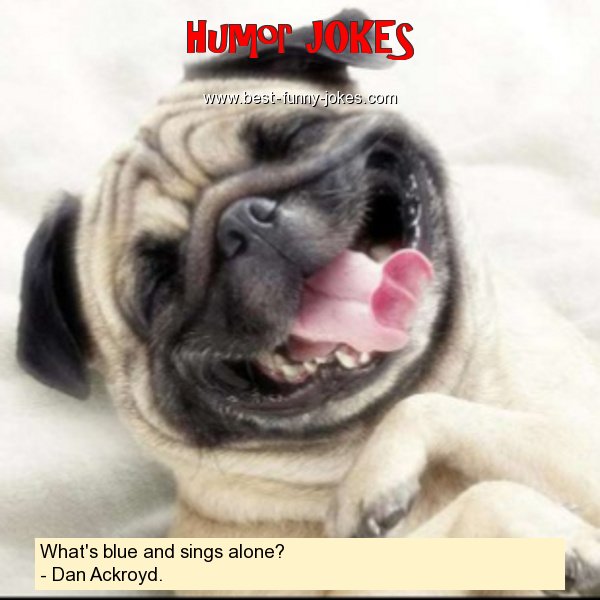 What's blue and sings alone? -
