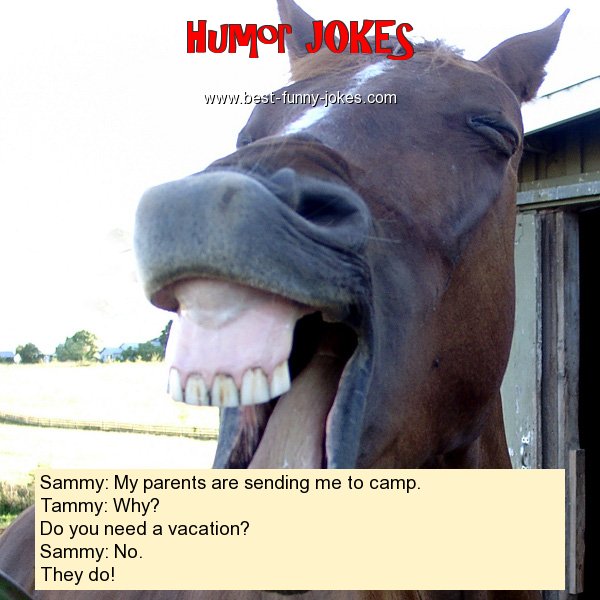 Sammy: My parents are sending