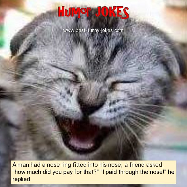 Humor Jokes: A man had a nose rin...