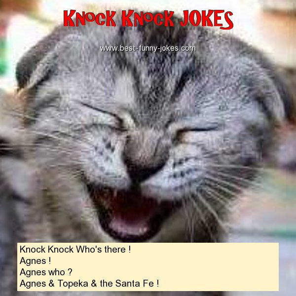 Knock Knock Who's there ! Ag