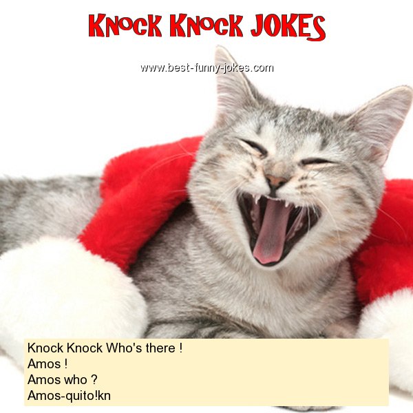 Knock Knock Who's there ! Am