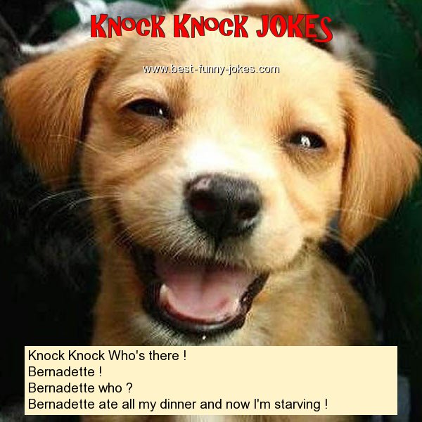 Knock Knock Who's there !