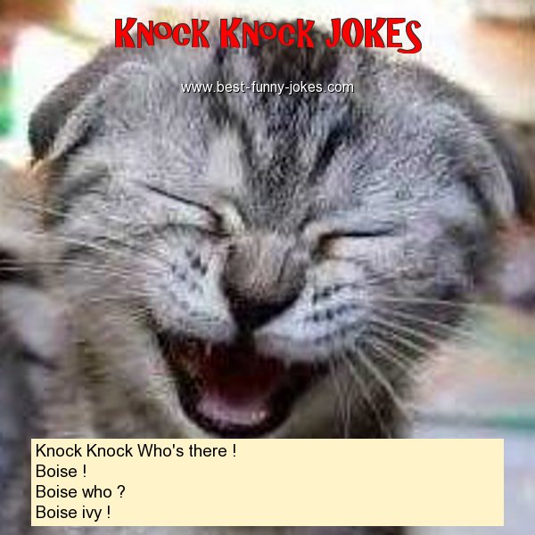 Knock Knock Who's there ! Bo