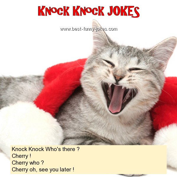 Knock Knock Who's there ? Ch