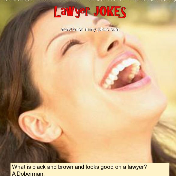 What is black and brown and lo