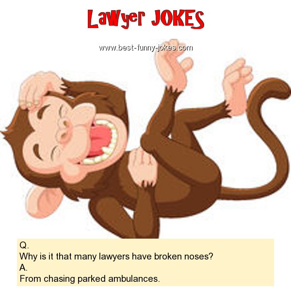 Q. Why is it that many lawyers