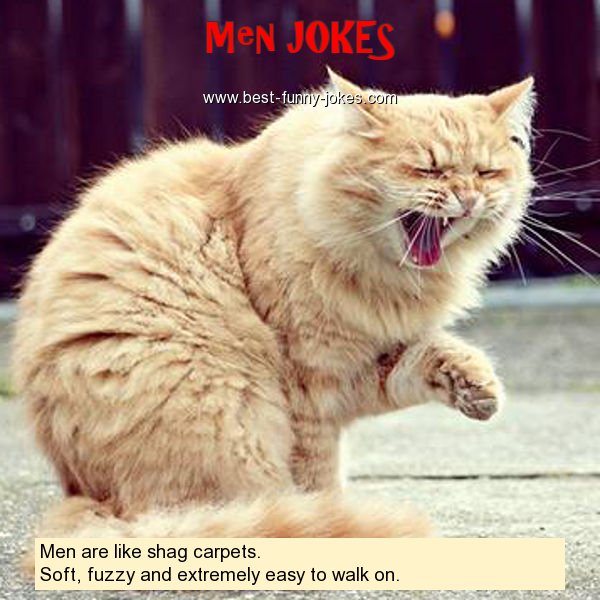 Men are like shag carpets.