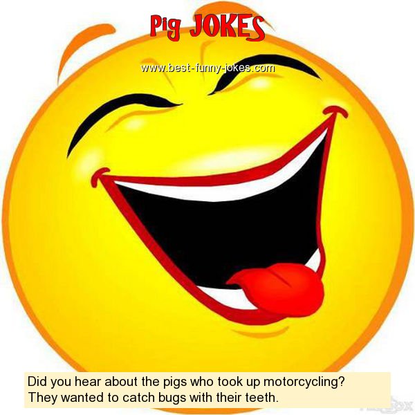 Did you hear about the pigs