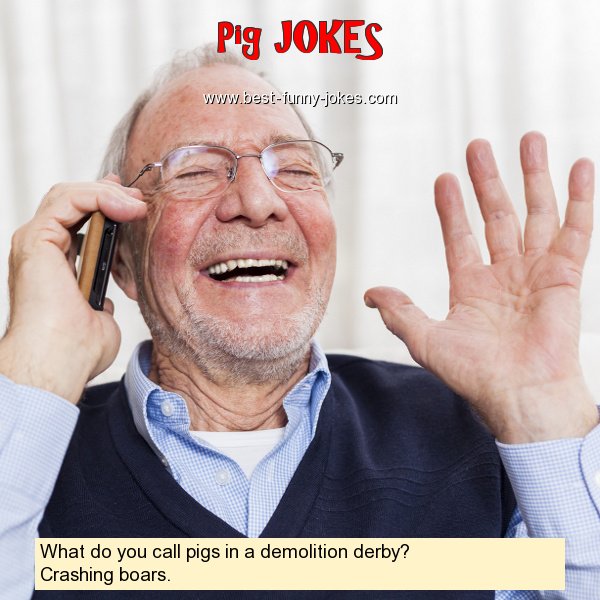 What do you call pigs in a dem