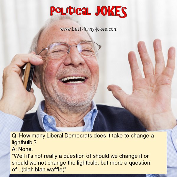 Q: How many Liberal Democrats
