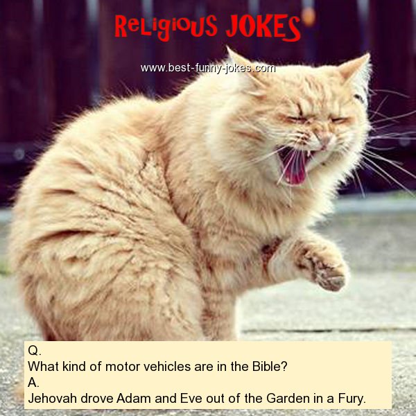 Q. What kind of motor vehicles