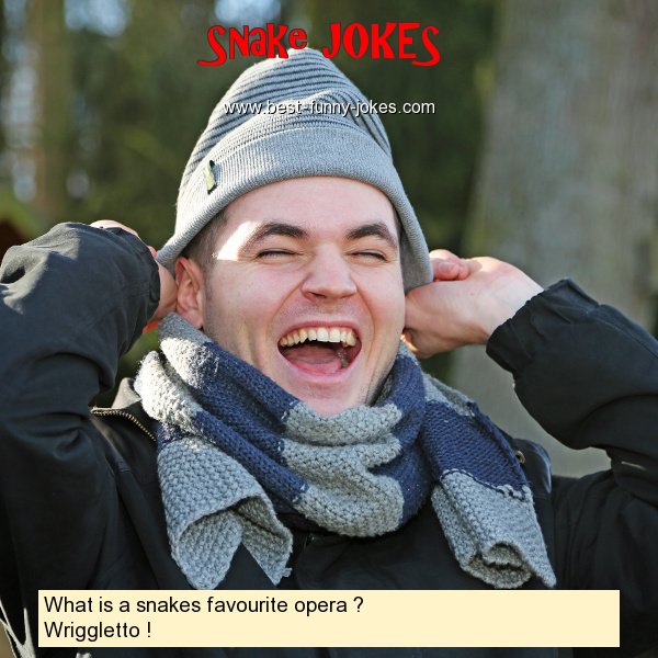 What is a snakes favourite ope