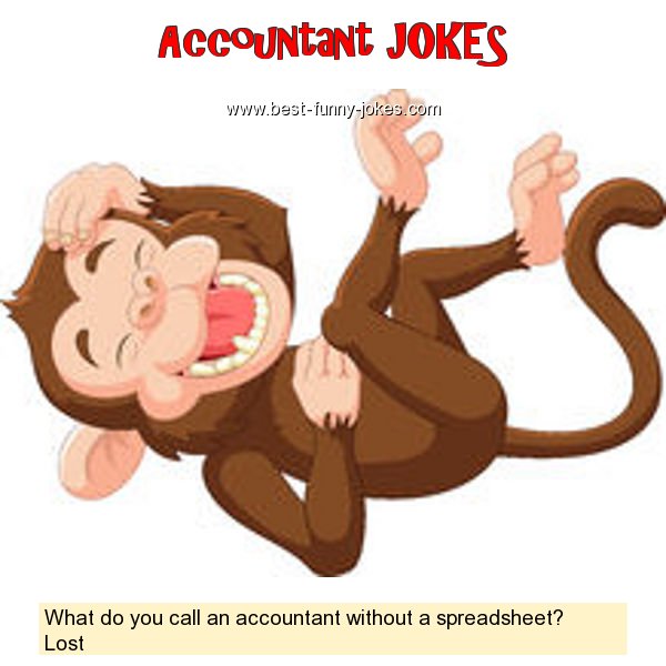 What do you call an accountant