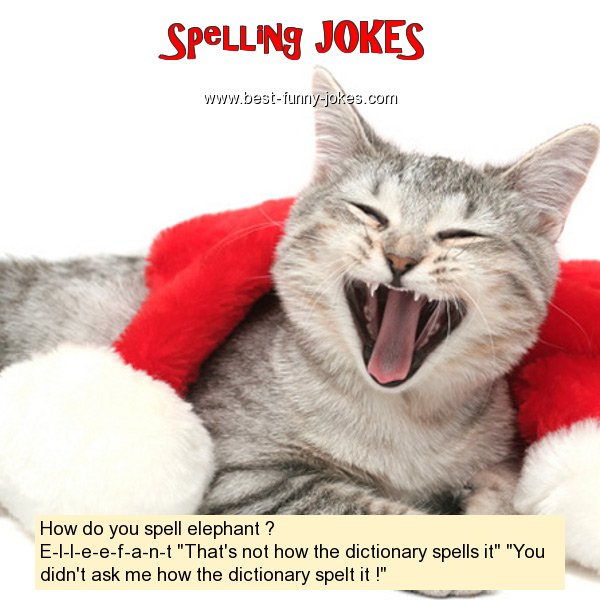 Spelling Jokes: How do you spell ele...