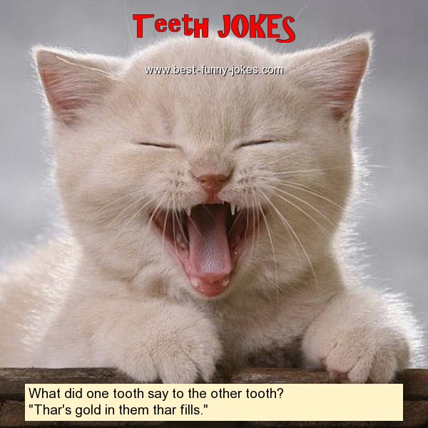 What did one tooth say to the