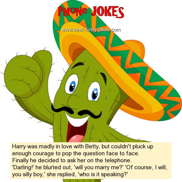 Phone Jokes: Harry was madly in l...