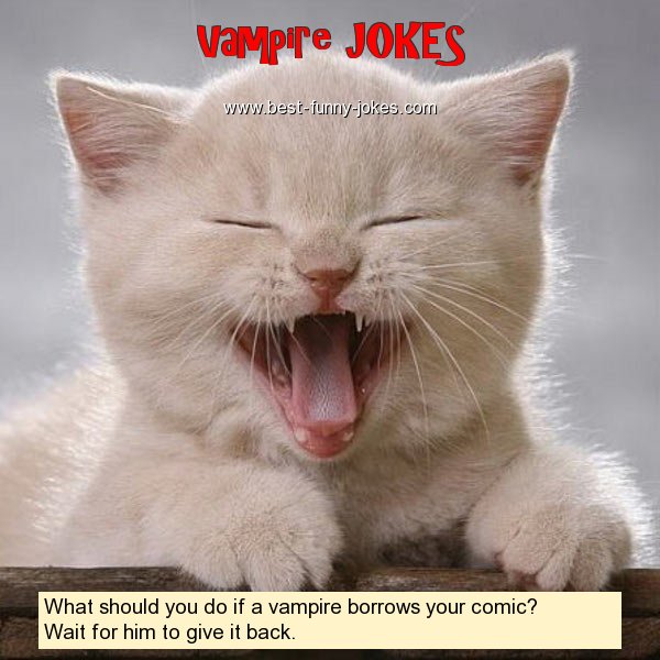 What should you do if a vampir