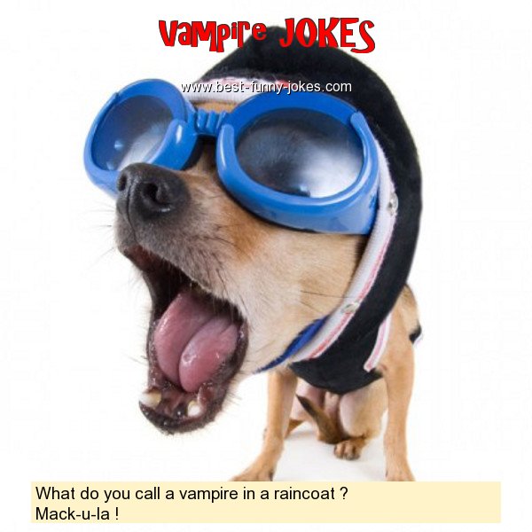 What do you call a vampire in