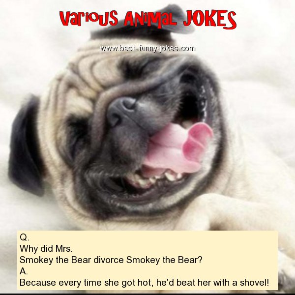 Q. Why did Mrs. Smokey the Bea