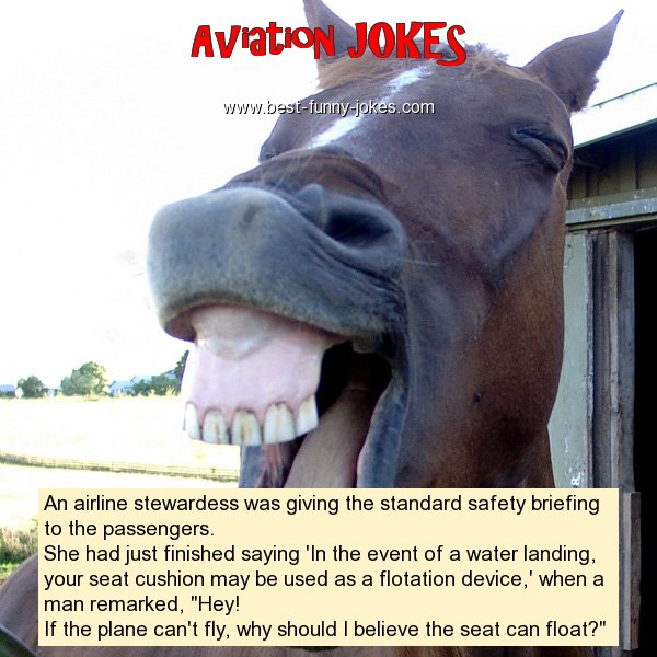 An airline stewardess was givi