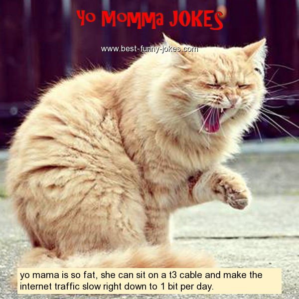 Yo Momma Jokes: yo mama is so fat, s...